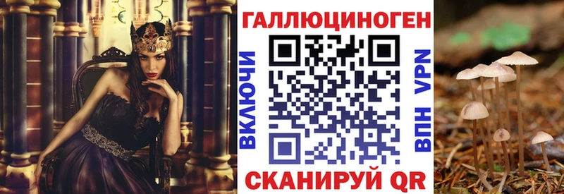 Купить закладки  Горячий Ключ  Псилоцибиновые грибы MAGIC MUSHROOMS 